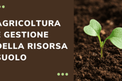 corso agricoltura e gestione della risorsa suolo