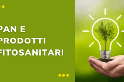 corso pan e prodotti fitosanitari