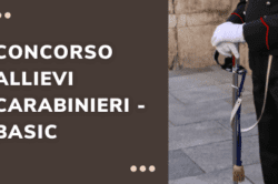 concorso allievi carabinieri basic
