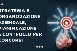 strategia organizzazione aziendale pianificazione controllo per concorsi