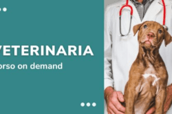 corsi online on demand test veterinaria tolc vet