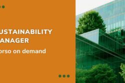 Sustainability Manager - corso online