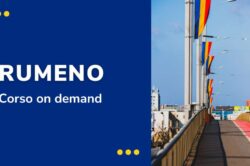 RUMENO - corso on demand