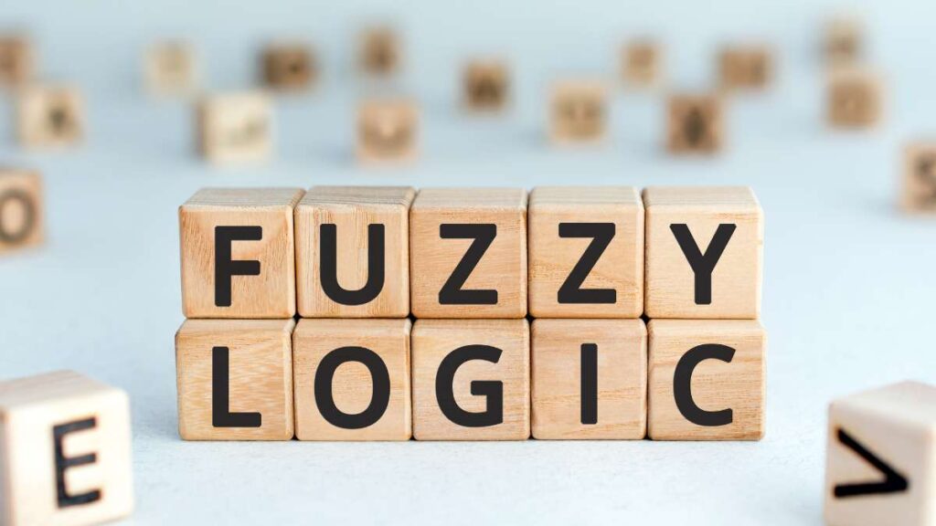 Logica Fuzzy - applicazione della per una visione più flessibile