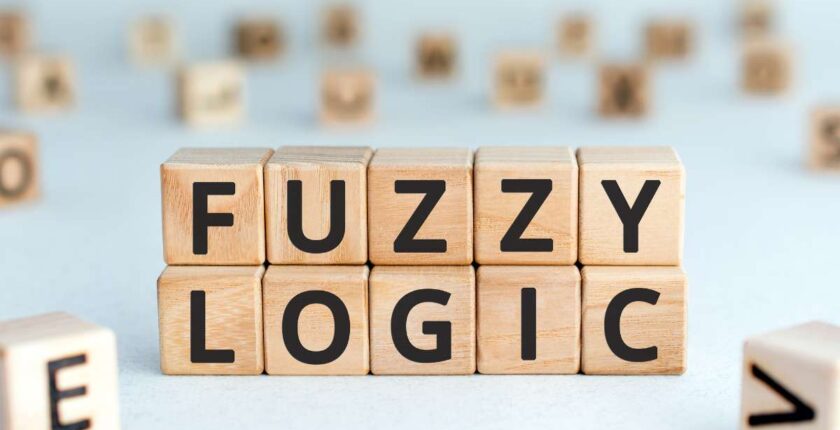 Logica Fuzzy - applicazione della per una visione più flessibile