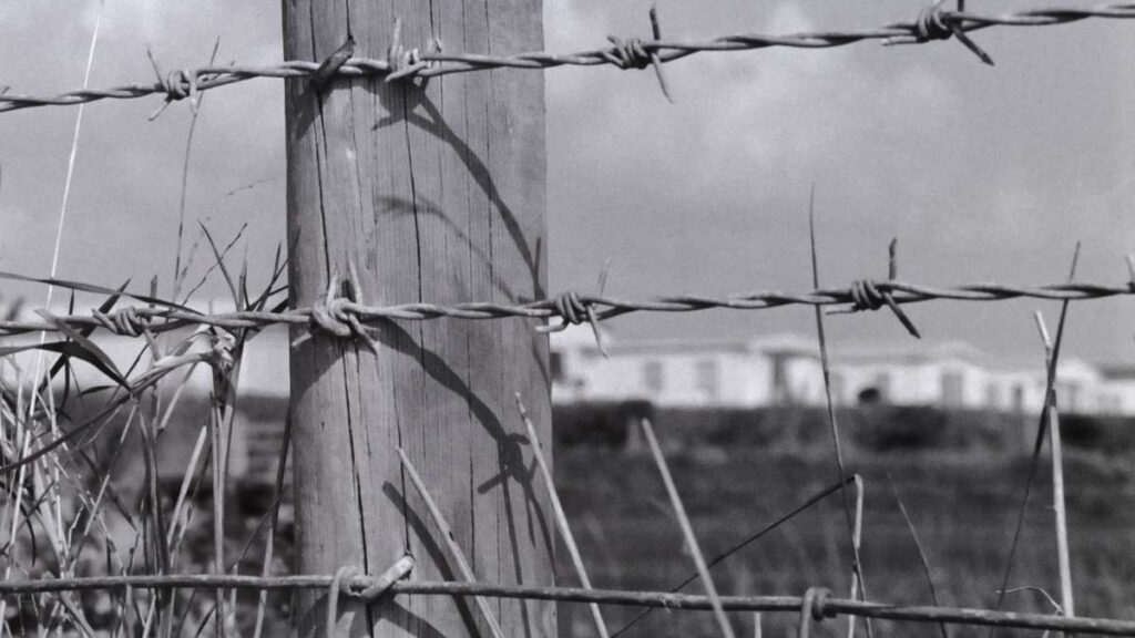 giornata della memoria - cosa ricordare