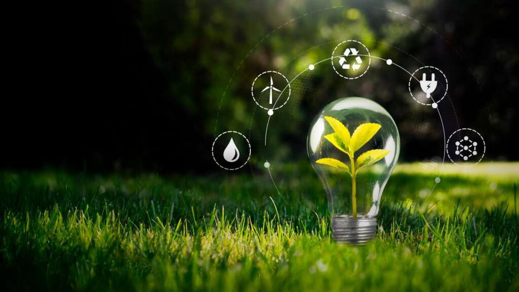 Educazione ambientale in pillole - cosa sapere e come agire